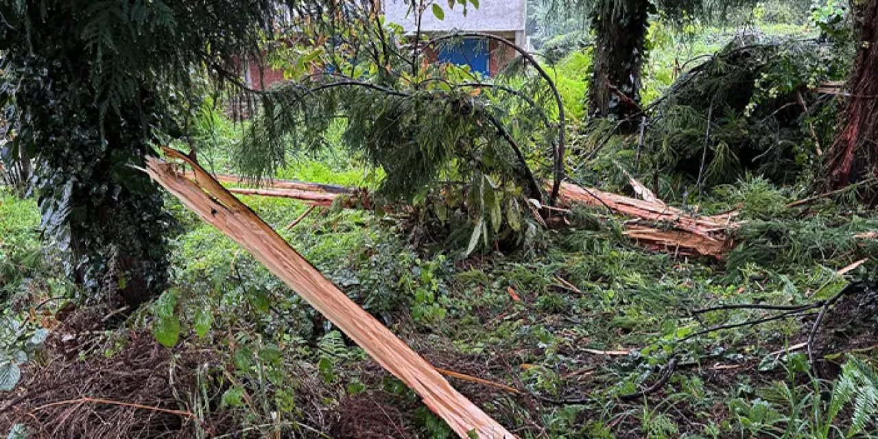 Rize'de yıldırım düştü! Ev hasar gördü