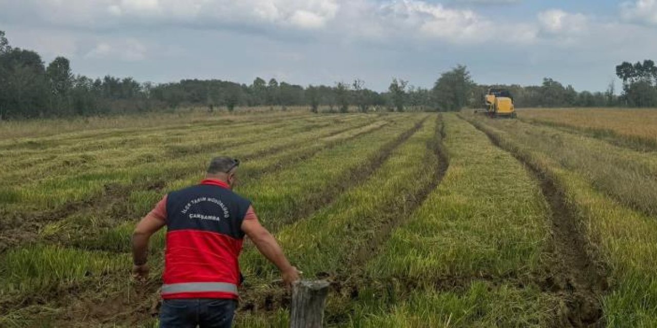 Samsun'da sonbahar şap aşılama dönemi başladı