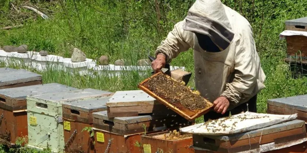 Ordu’dan sahte bal uyarısı! “250 TL’den ucuz olan ürün satın alınmamalı”