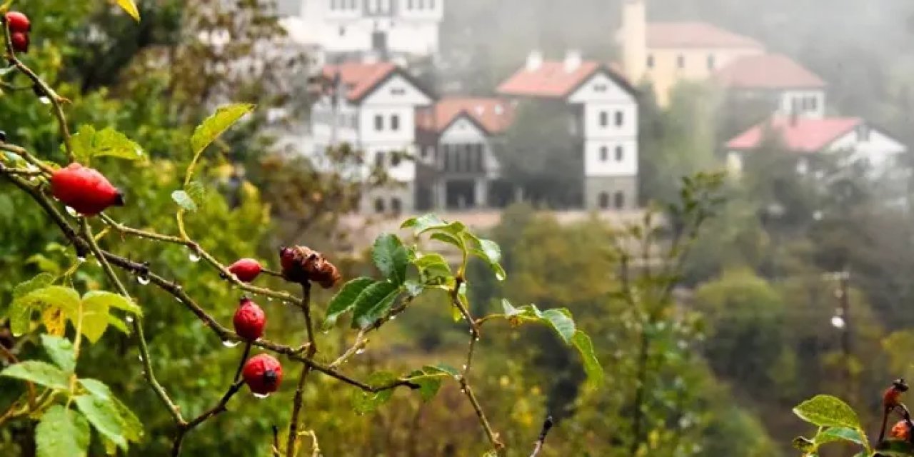 Gümüşhane’de sonbahar görenleri mest ediyor