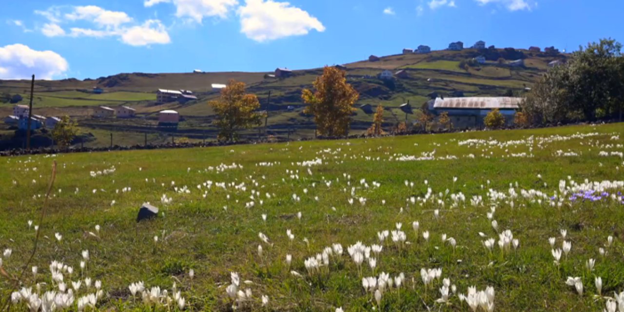 Trabzon'da Ağaçbaşı Turbalığı ile çevresinde sonbahar ahengi