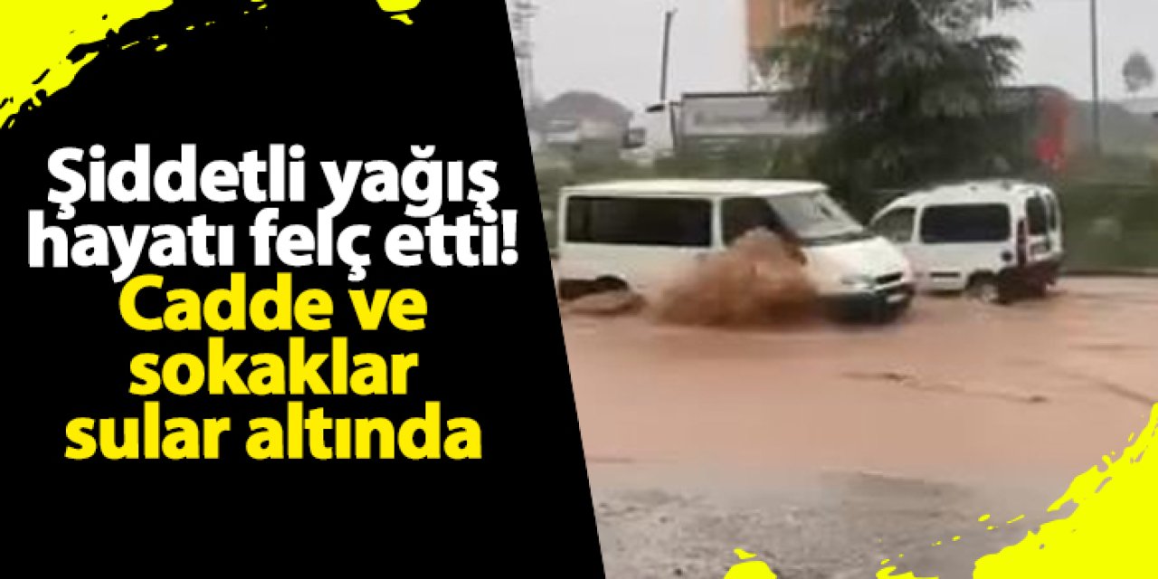 Artvin'deki şiddetli yağış hayatı felç etti! Cadde ve sokaklar sular altında