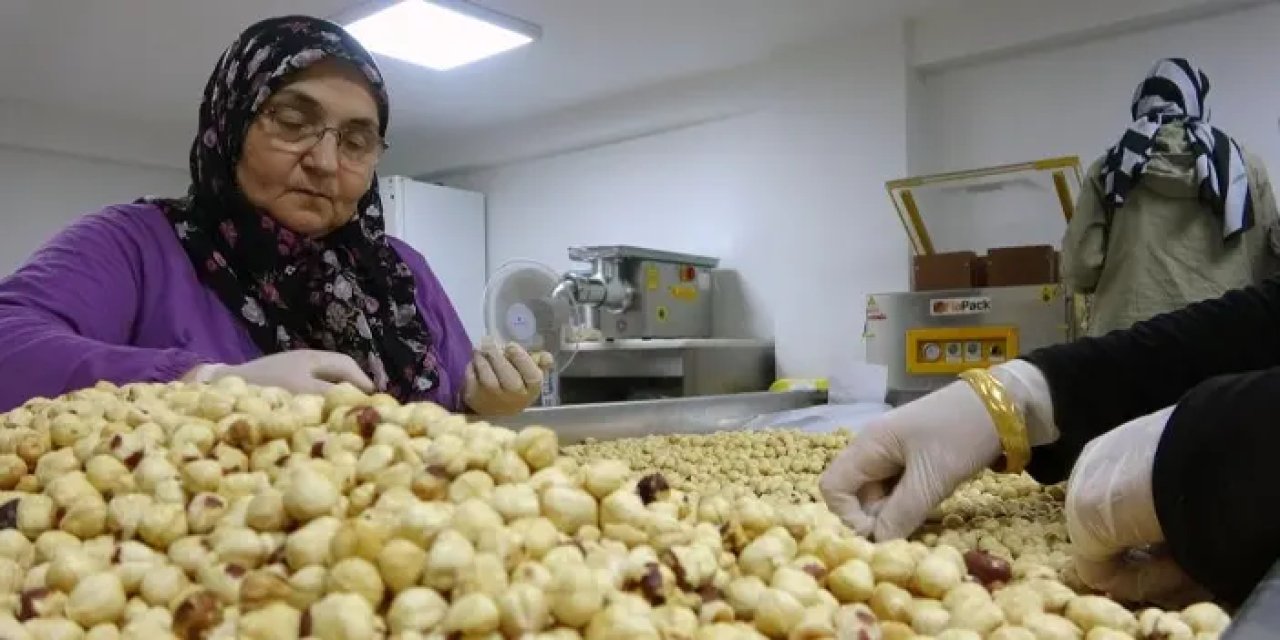 Giresun’da fındık mesaisi sürüyor! Şimdi sırada kırma, kavurma ve paketleme var