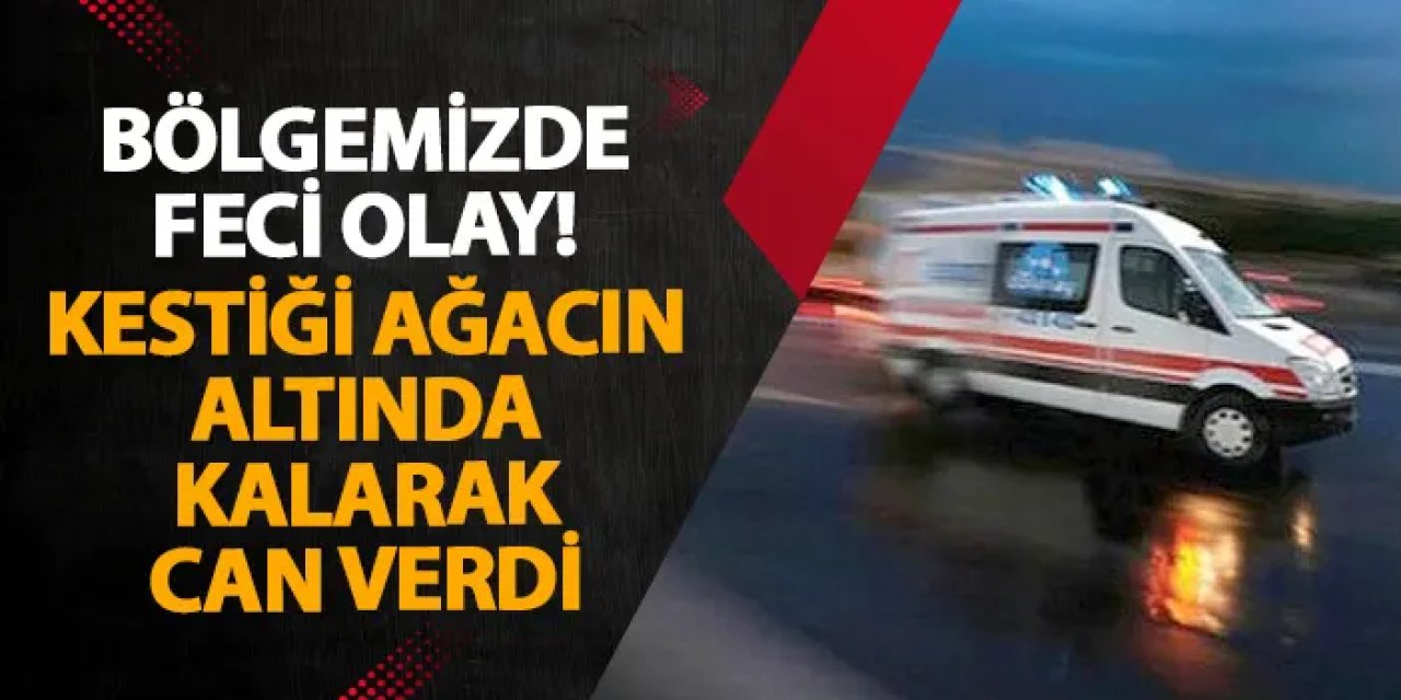 Ordu’da feci olay! Kestiği ağacın altında kalarak can verdi