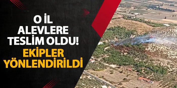 İzmir alevlere teslim oldu! Ekipler yönlendirildi