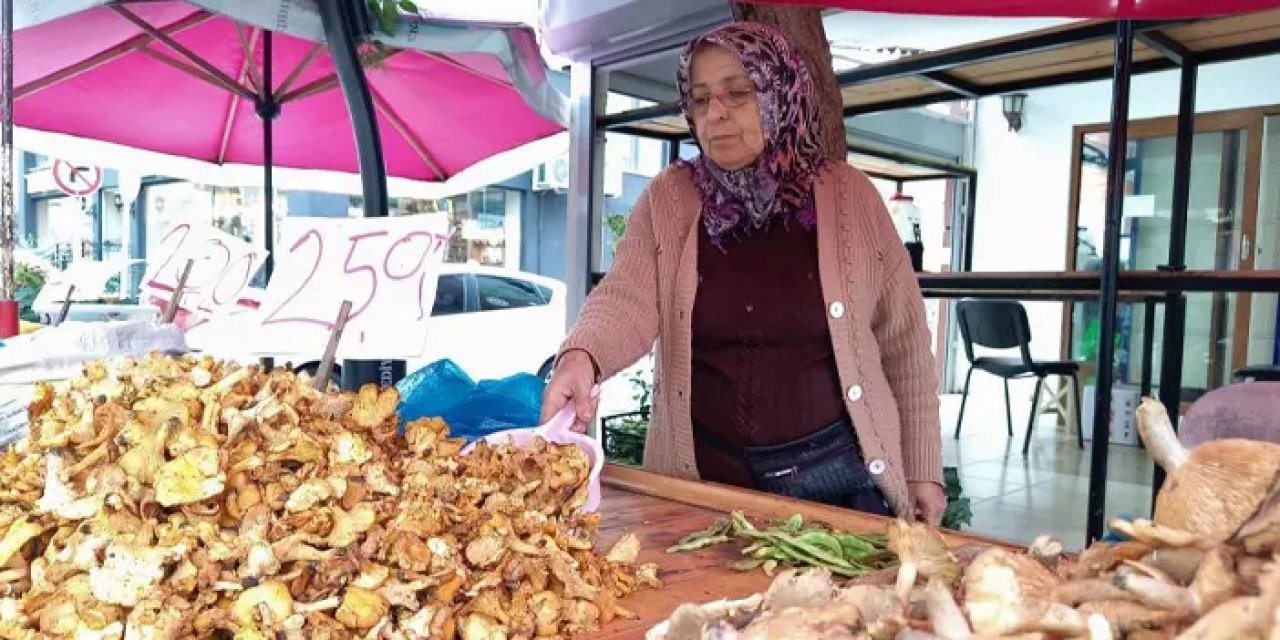 Ordu’da tirmit çeşitlerine yoğun talep