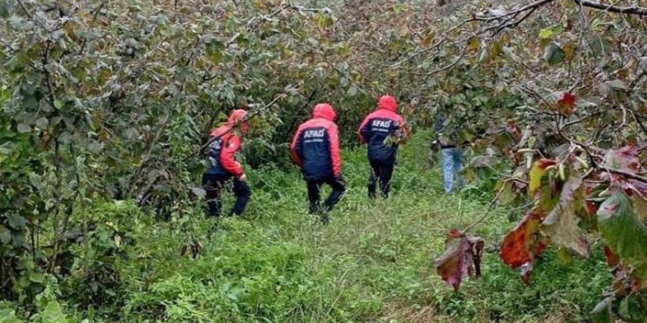 Ordu'da ağaçtan düşen yaşlı adam hayatını kaybetti!