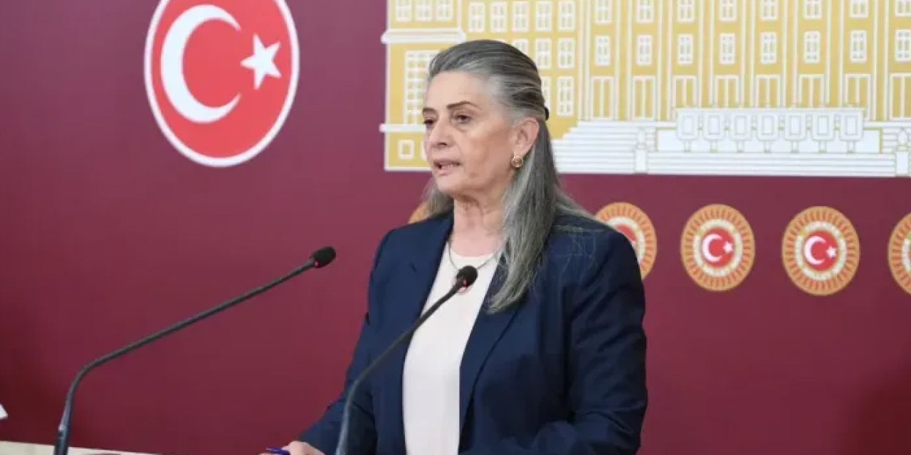 CHP'li Suiçmez, "yenidoğan çetesi" soruşturmasını eleştirdi: "Denetimsizlik büyük tehlike yaratıyor"