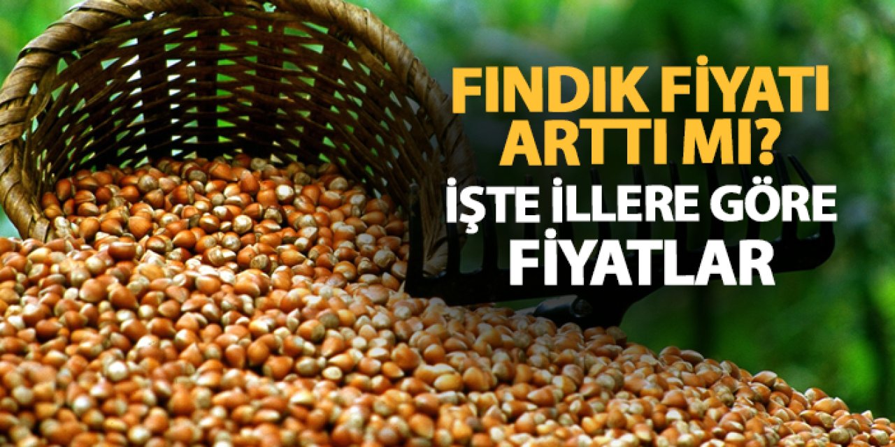 Fındık fiyatı arttı mı? İşte il il güncel fındık fiyatları