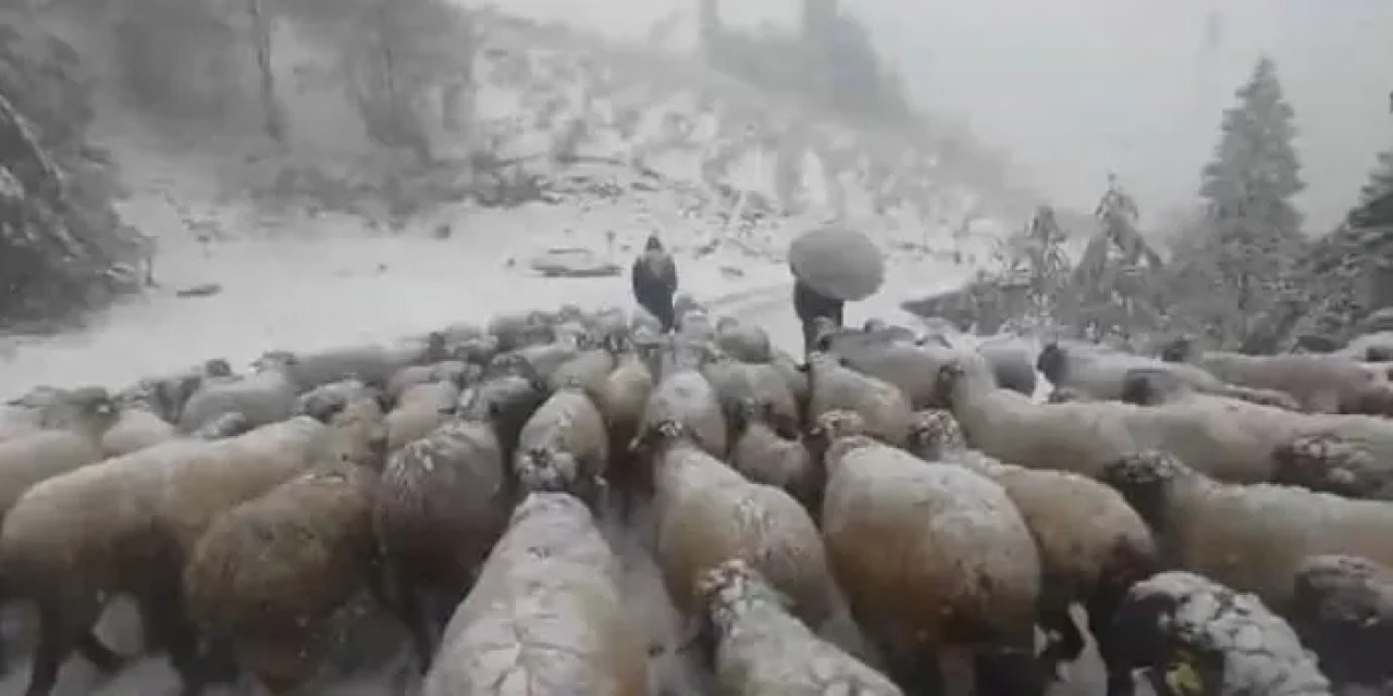 Trabzon’da kar esir etti! 3 günde ulaştılar