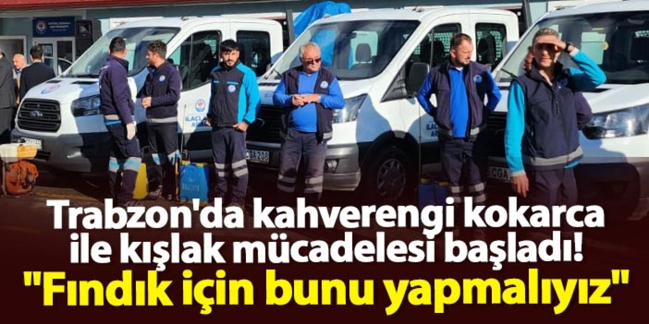 Trabzon'da kahverengi kokarca ile kışlak mücadelesi başladı! "Fındık için bunu yapmalıyız"