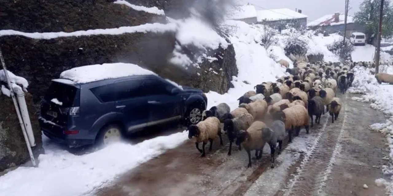 Giresun’da karda mahsur kalan çobanlar kurtarıldı!