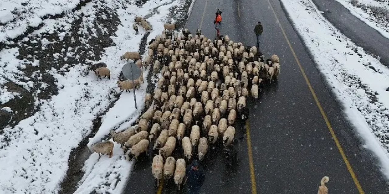 Ordu yaylalarında kar görsel şölen oluşturdu