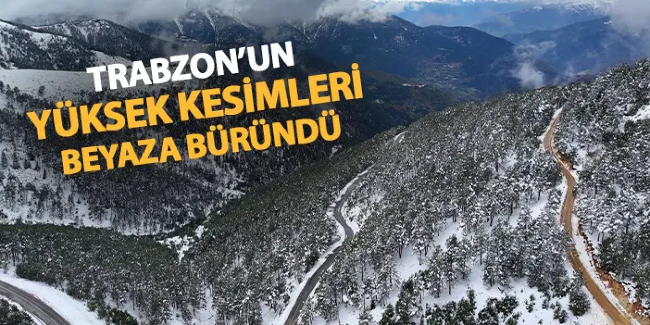 Trabzon'un yüksek kesimlerinde kar yağışı etkili oldu