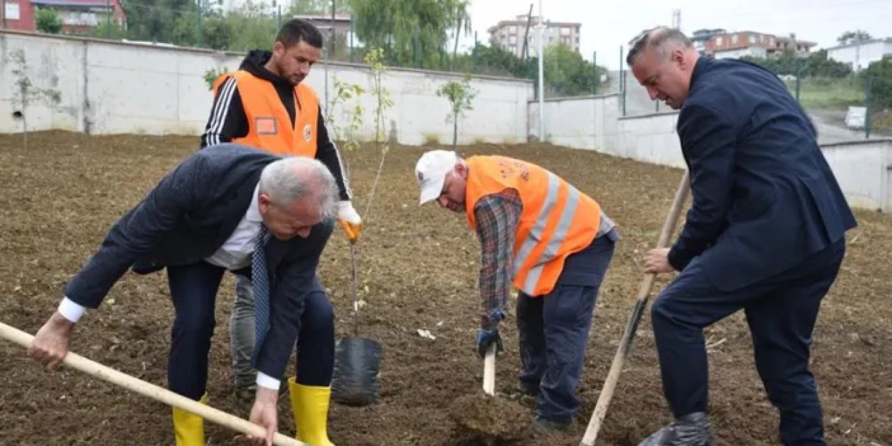 Samsun’da okullarda meyve ağaçları yetiştirilecek