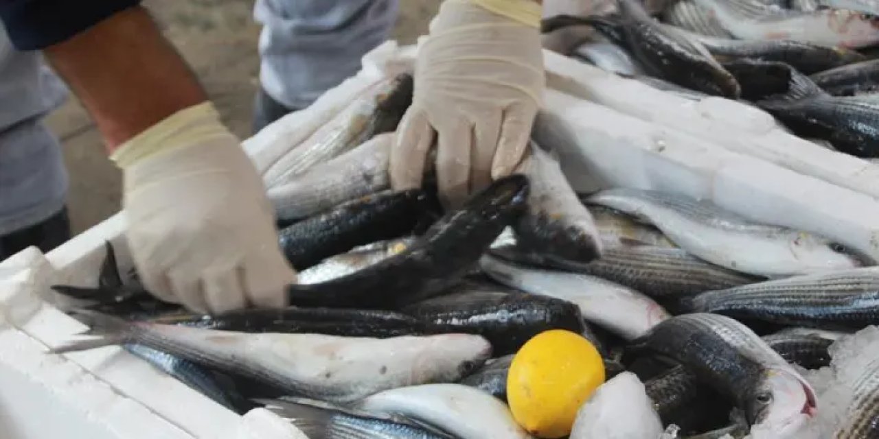 Doğu Karadeniz’de kötü hava balığı vurdu! İşte balık fiyatlarında son durum