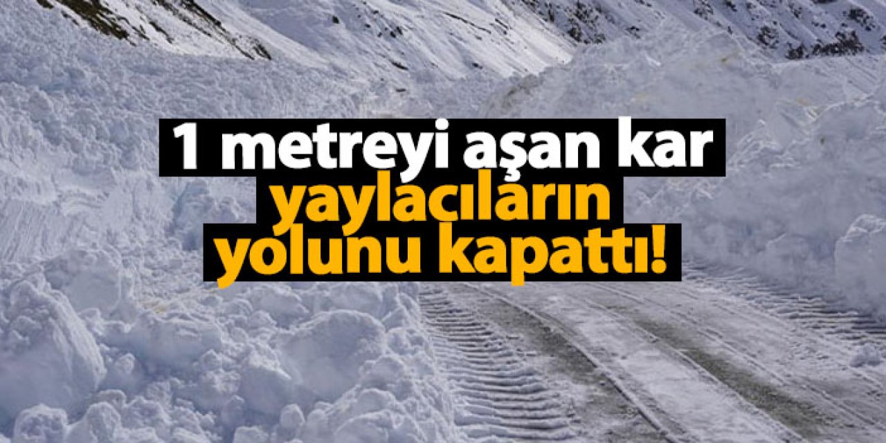 Ovit Dağı'nda kar ve çığ engeli: 1 metreyi aşan kar, yaylacıların yolunu kapattı!