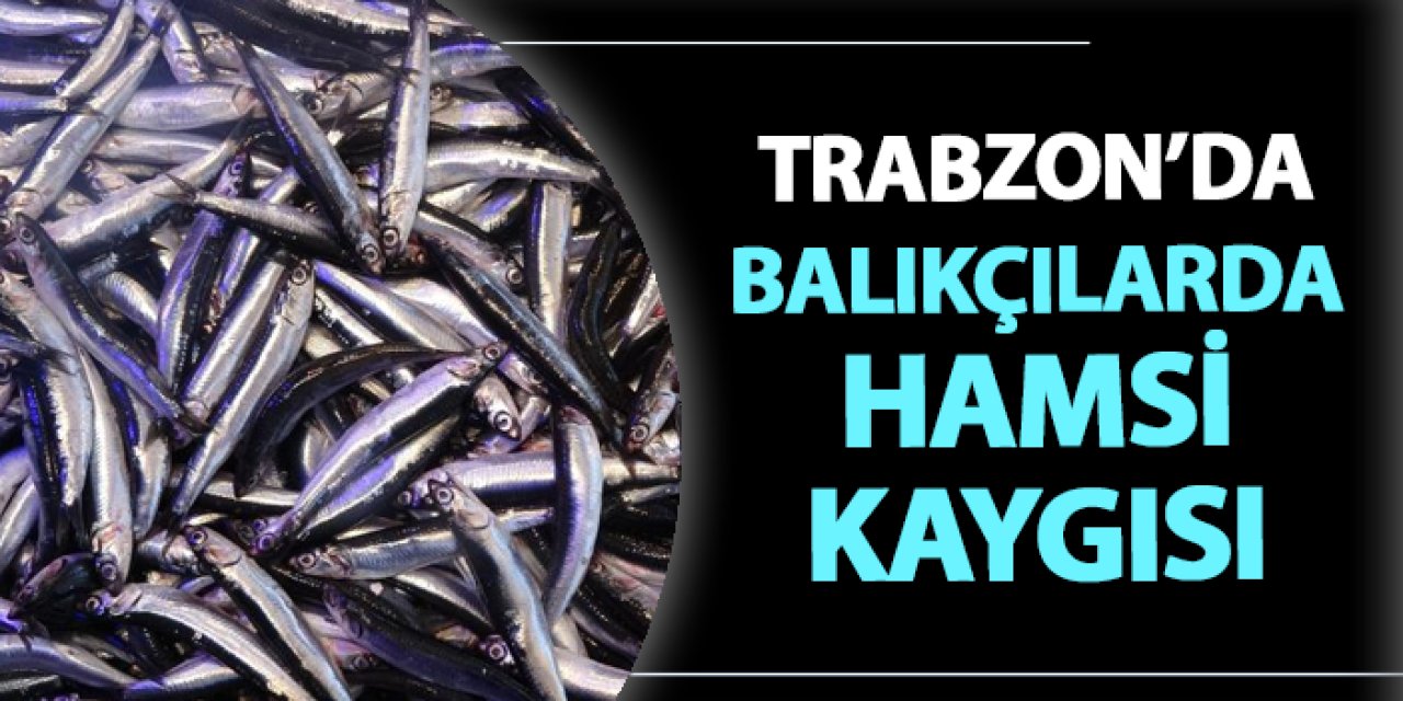 Trabzon'da balıkçılarda hamsi kaygısı