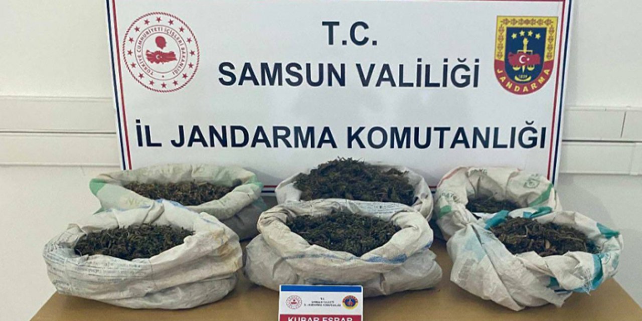 Samsun'da ormanda gizemli çadır: 8 kilo uyuşturucu ele geçirildi