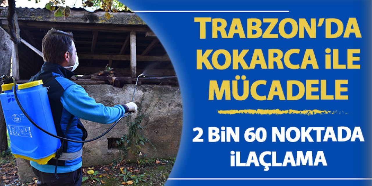 Trabzon'da kokarcaya geçit yok! 2 bin 60 noktada ilaçlama