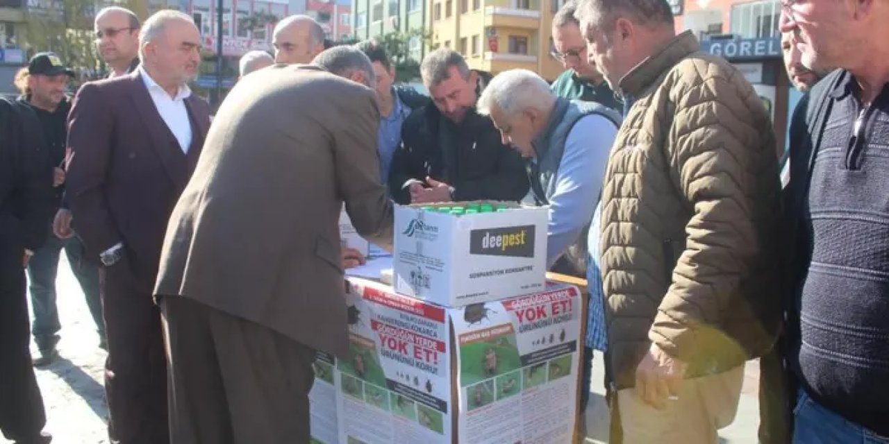 Giresun’da kokarcayla mücadele sürüyor! İlaçlama makinesi dağıtıldı