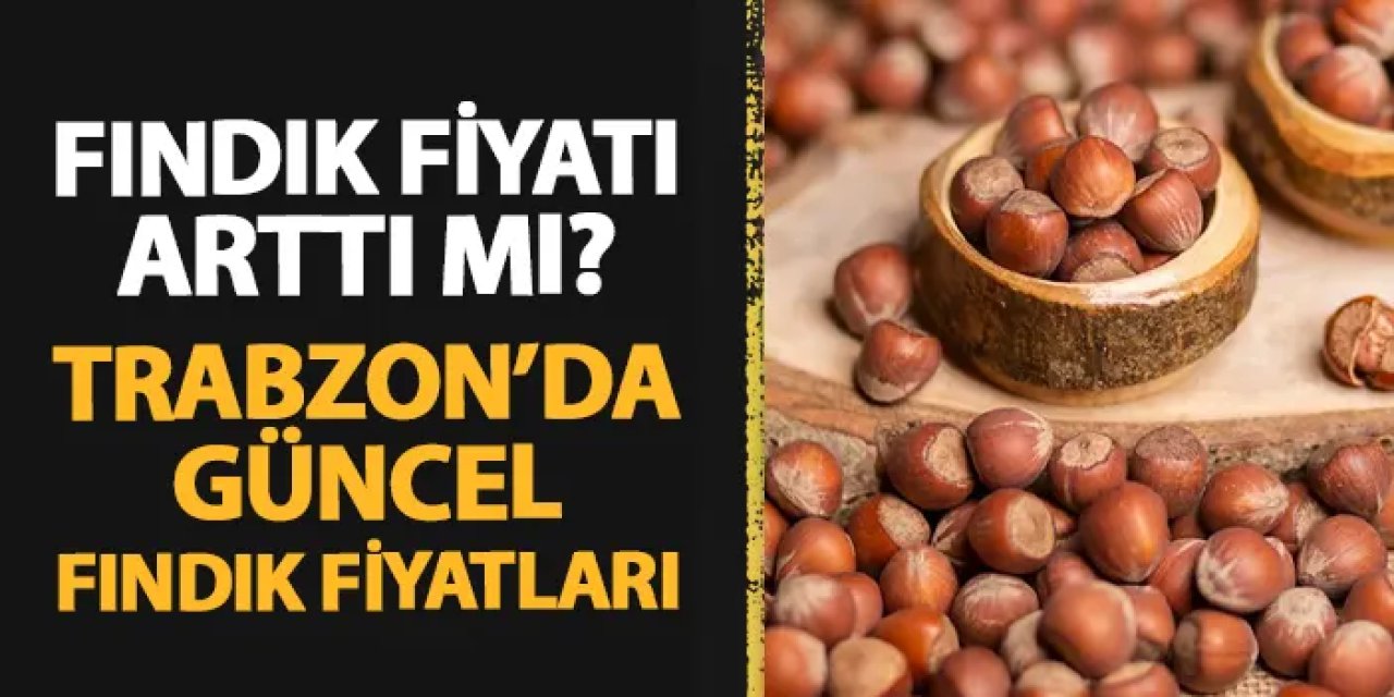 Fındık fiyatı arttı mı? Trabzon'da güncel fındık fiyatları