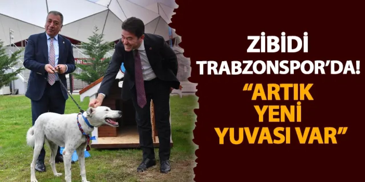 Zibidi Trabzonspor’da! “Artık yeni yuvası var”