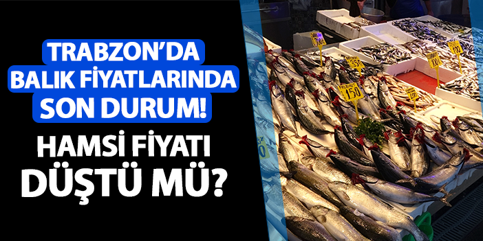 Trabzon'da balık fiyatlarında son durum! Hamsi fiyatı düştü mü?