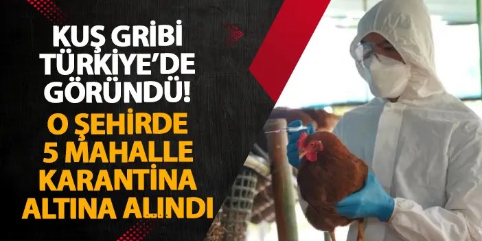 Kuş gribi Türkiye’de göründü! O şehirde 5 mahalle karantina altına alındı