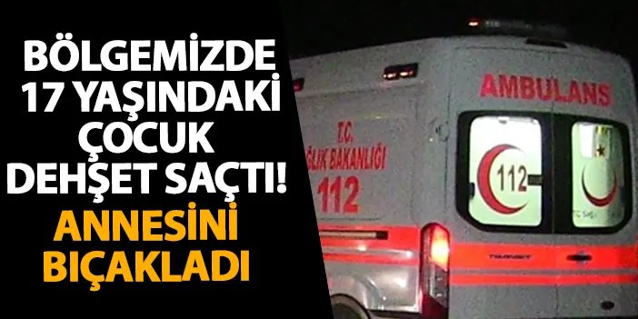 Samsun’da 17 yaşındaki çocuk dehşet saçtı! Annesini bıçakladı