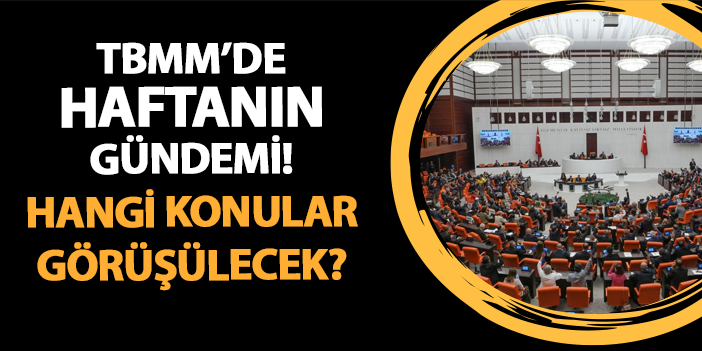 TBMM'de bu haftanın gündemi! Yargı düzenlemeleri ve bütçe