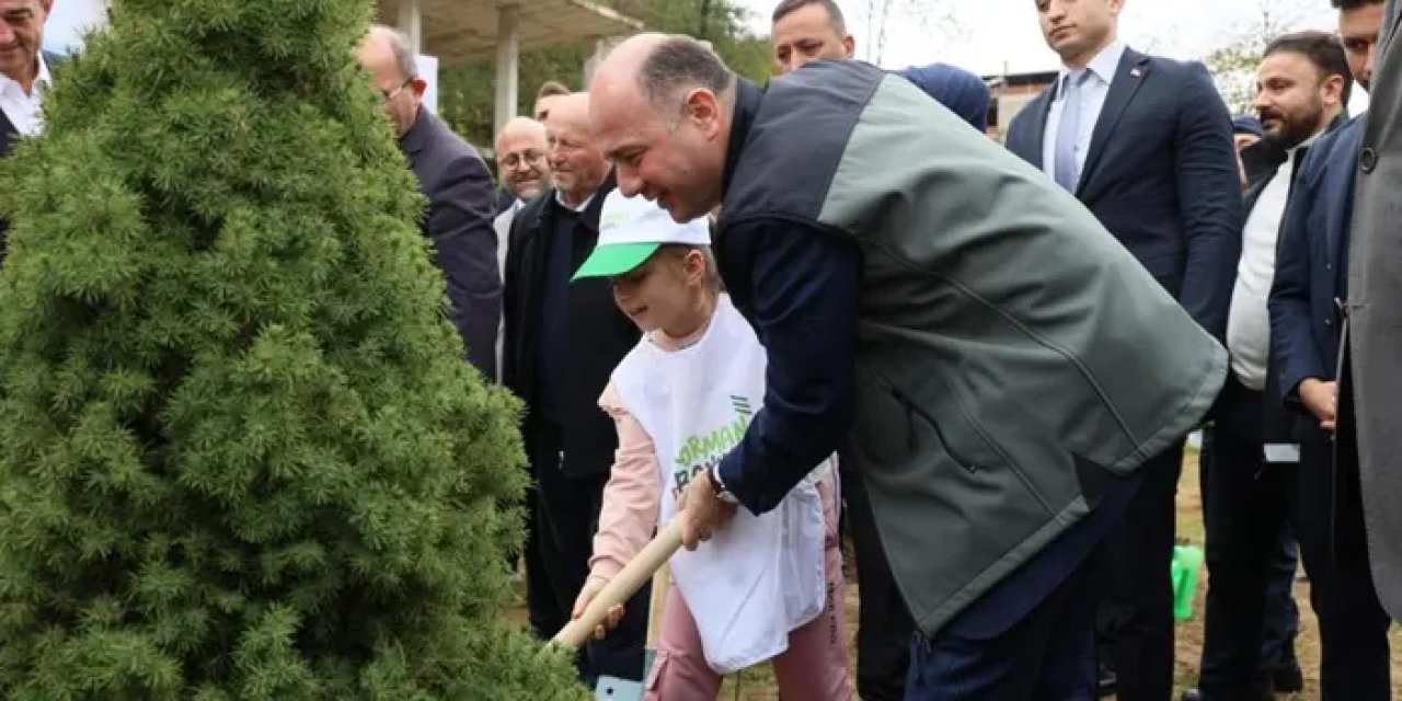 Giresun’da 1 milyon ağaç toprakla buluştu