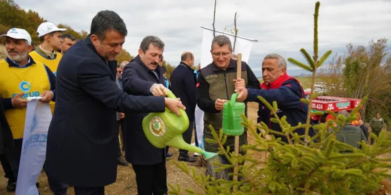 Samsun’da 100 bin fidan dikildi