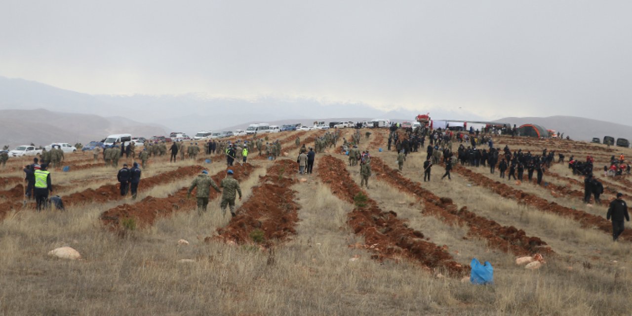 Karadeniz'in yeşiline 11 Kasım damgası! Binlerce fidan geleceğe nefes oldu