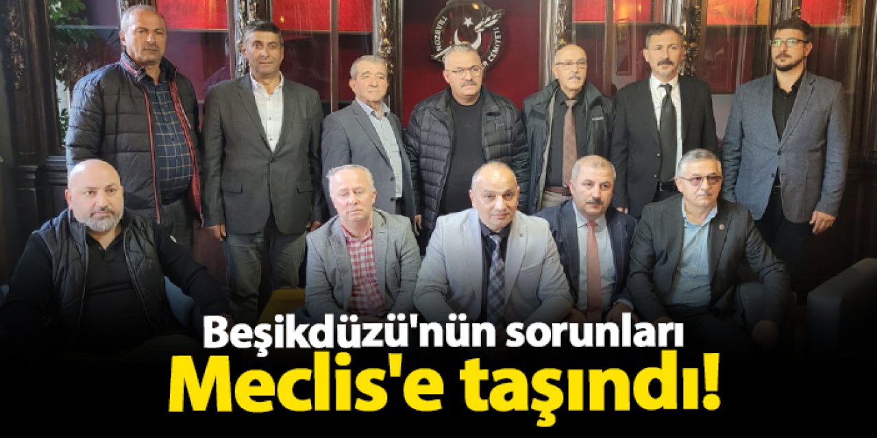 Trabzon Beşikdüzü'nün sorunları Meclis'e taşındı