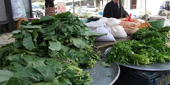 Karadeniz’in lahanası sağlık saçıyor! İşte faydaları