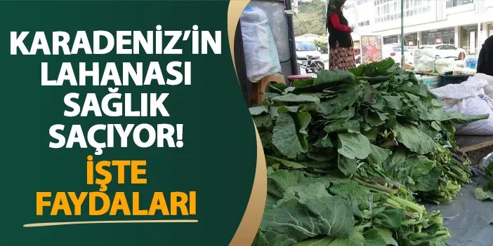 Karadeniz’in lahanası sağlık saçıyor! İşte faydaları