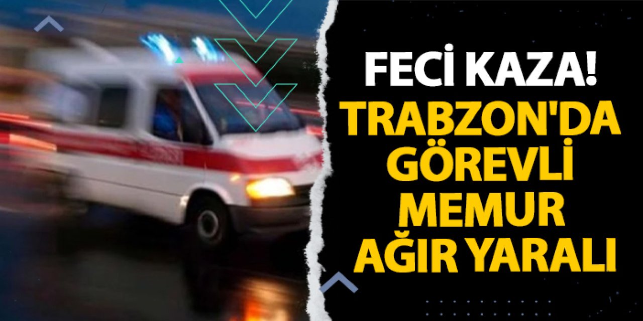 Giresun'da feci kaza! Trabzon'da görevli memur ağır yaralı