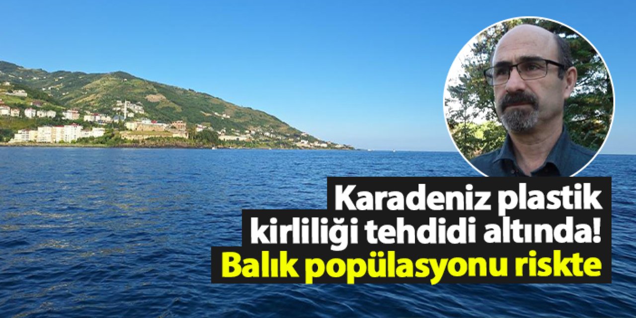 Karadeniz plastik kirliliği tehdidi altında! Balık popülasyonu riskte