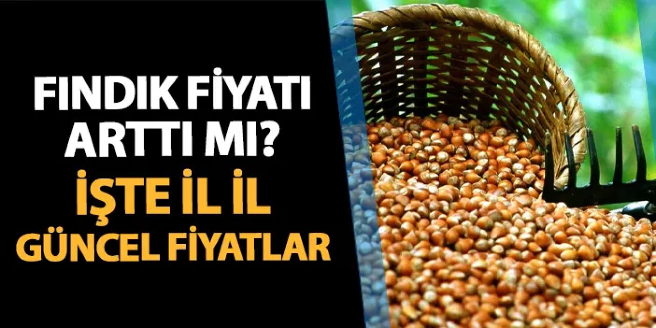 Fındık fiyatı arttı mı? Trabzon, Ordu, Giresun, Sakarya, Kocaeli güncel fındık fiyatları