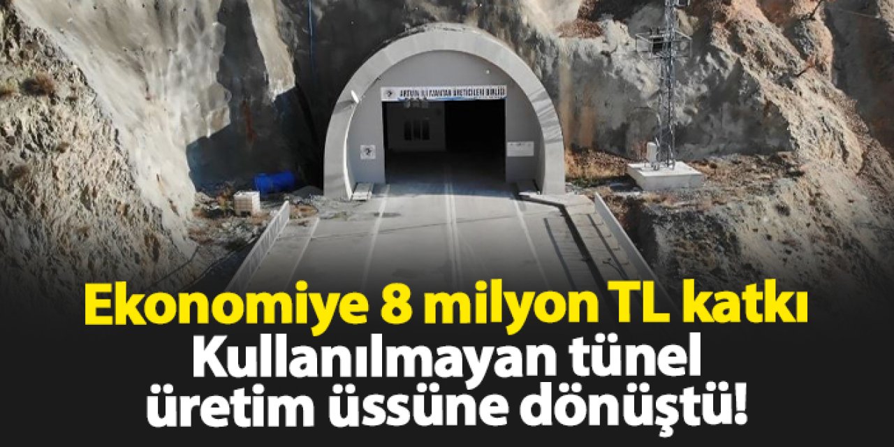 Artvin’de kullanılmayan tünel, istiridye mantarı üretim üssüne dönüştü!