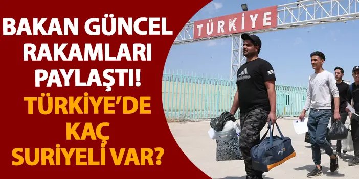 Bakan güncel rakamları paylaştı! Türkiye’de kaç Suriyeli var?