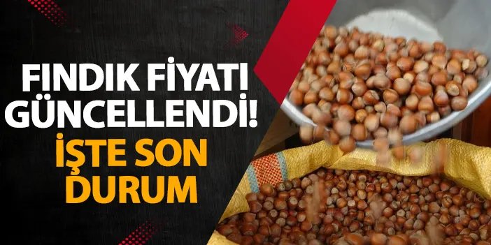 Giresun’da fındık fiyatı güncellendi! İşte son durum