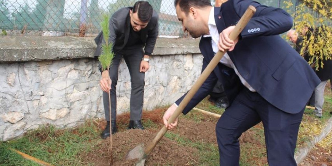 Samsun'da şehit öğretmenler anısına fidan dikildi