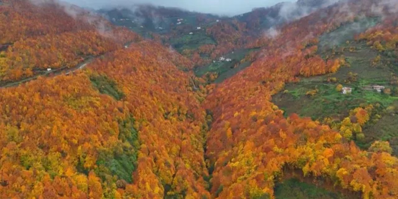 Samsun’da sonbahar masalsı görüntüler oluşturdu