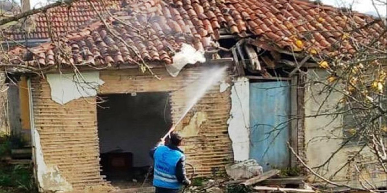 Samsun'da kahverengi kokarca alarmı: Tarım için harekete geçildi!