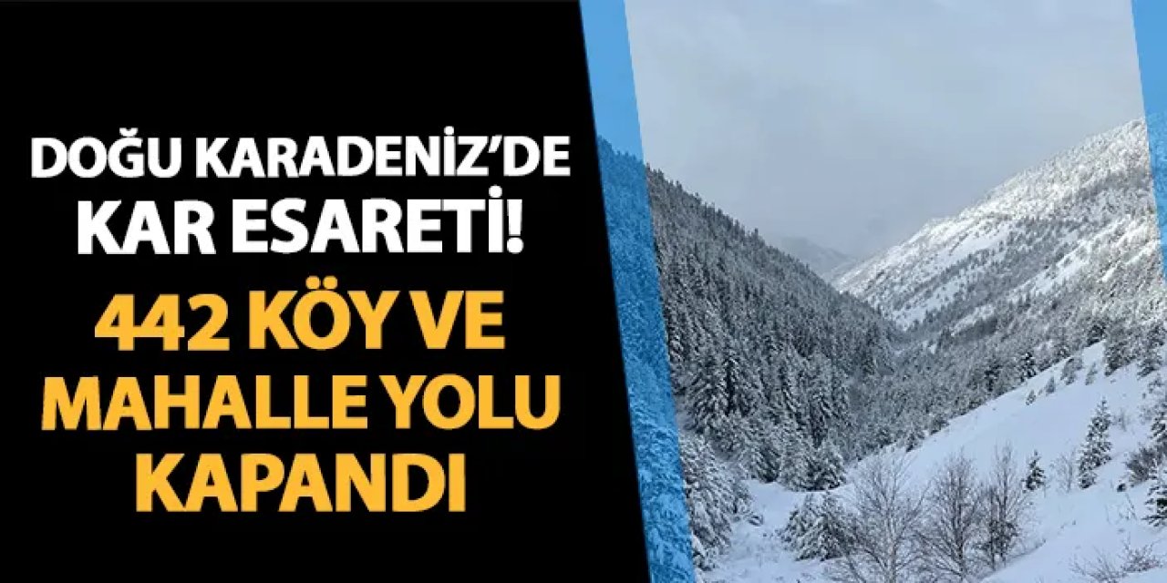 Doğu Karadeniz'de kar esareti: 442 köy ve mahalle yolu kapandı