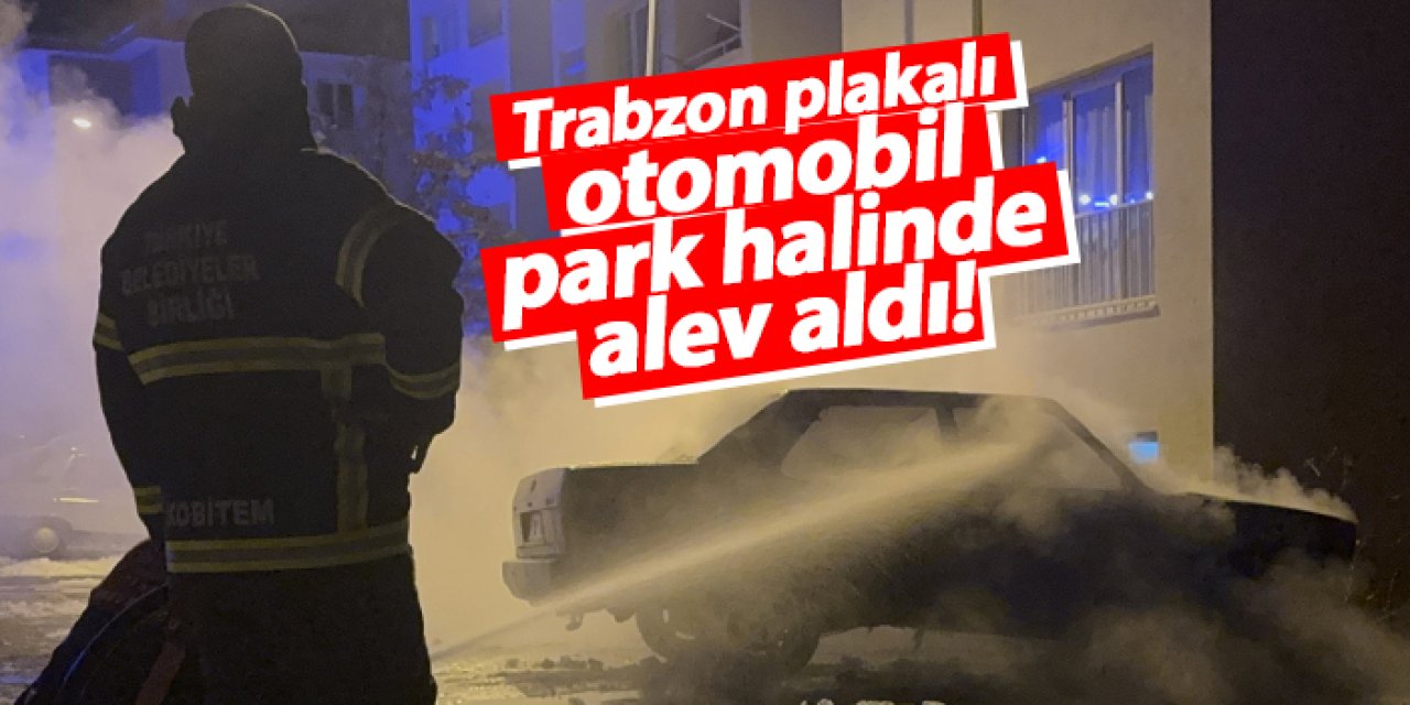 Trabzon plakalı otomobil Gümüşhane’de alev aldı!