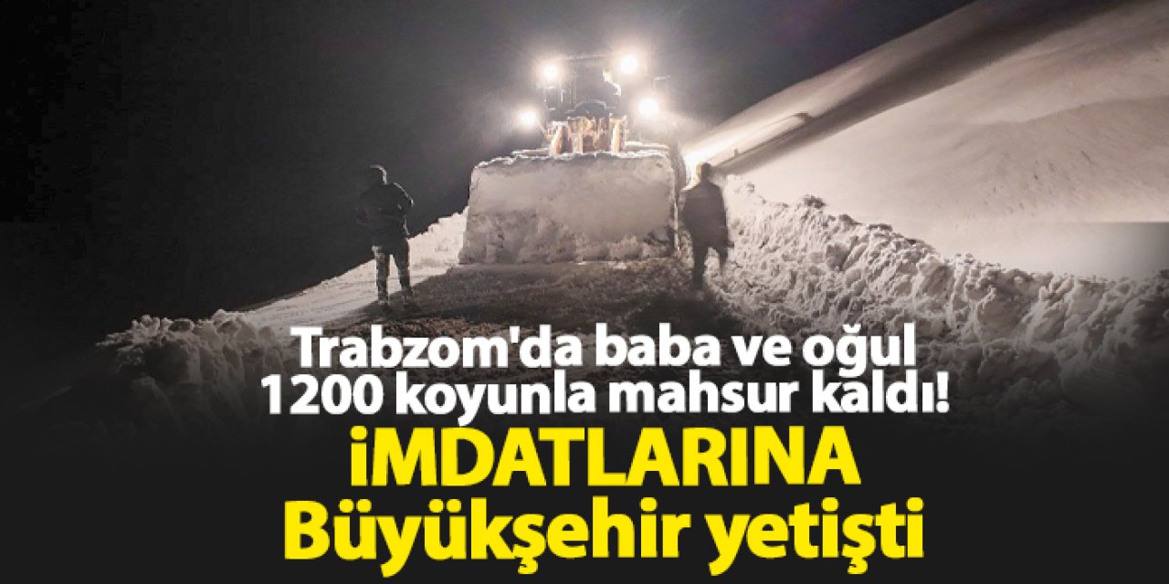 Trabzom'da baba ve oğul 1200 koyunla mahsur kaldı! İmdatlarına Büyükşehir yetişti