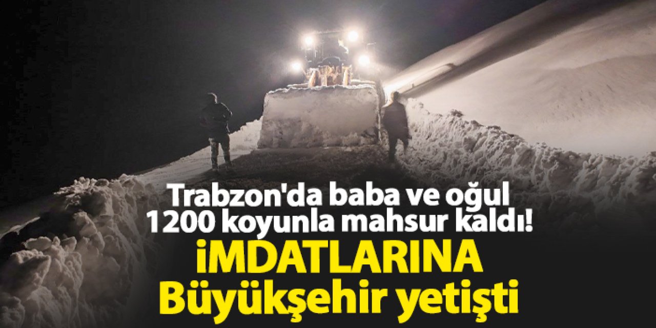 Trabzon'da baba ve oğul 1200 koyunla mahsur kaldı! İmdatlarına Büyükşehir yetişti